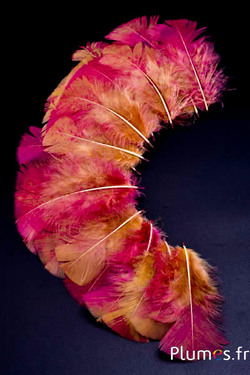 Pute Spritzer pink - 6-8 cm - curry